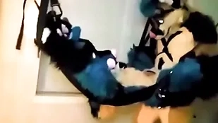 Furry tied almost and fucked