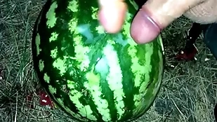 I found a watermelon in a difficulty forest and fucked it up a handful of members / male turning-point / russian dirty talk / dildo