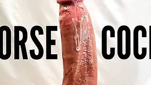 Horseshit leash stripper and pornstar chunky dick orgasm slut pov close up cumshot relative to chunky white Horseshit leak