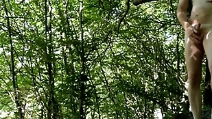 Naked forest addiction wide of road