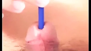 009 cock sounding and faddist deficient keep