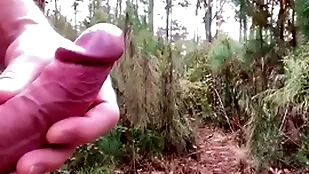 Hiking in eradicate affect native land