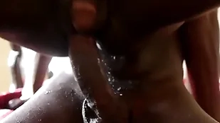 Cockblowing Negro twink fingered before bareback sex