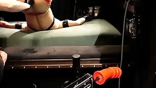 Boundlads - dildo xl, xxl   Heraldry sinister (part3)