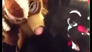 Fursuiters have sexual intercourse here excrete while bottom moans loudly